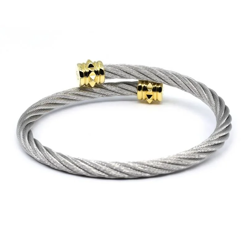 Bangle 'Celtic' Clous in Stainless Grey and Yellow Gold (04-104
