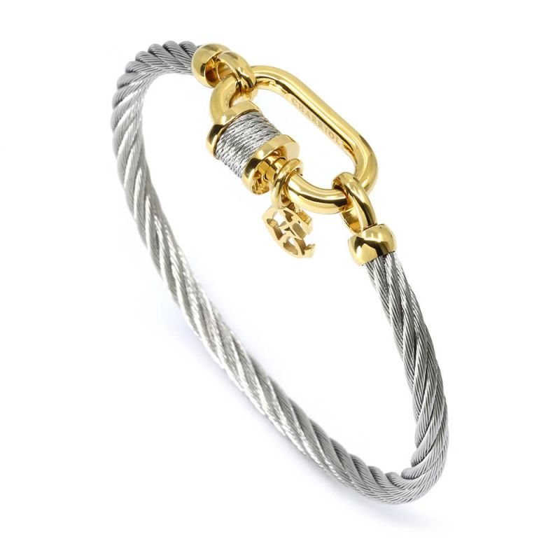 bangle-forever-lock 2.jpeg