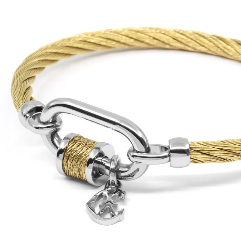 bangle-forever-lock 2.jpeg