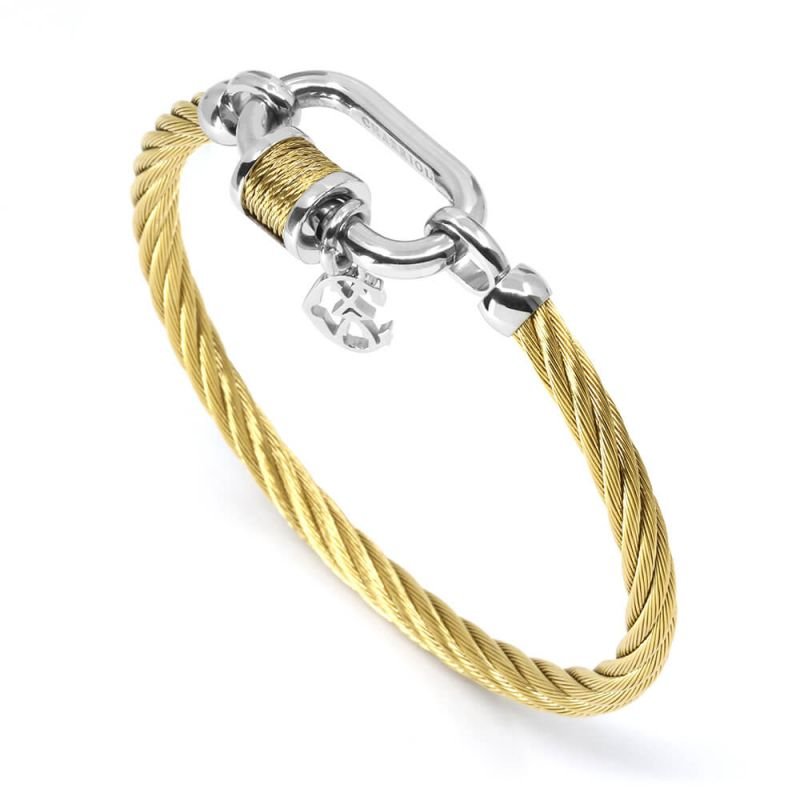 bangle-forever-lock 3.jpeg