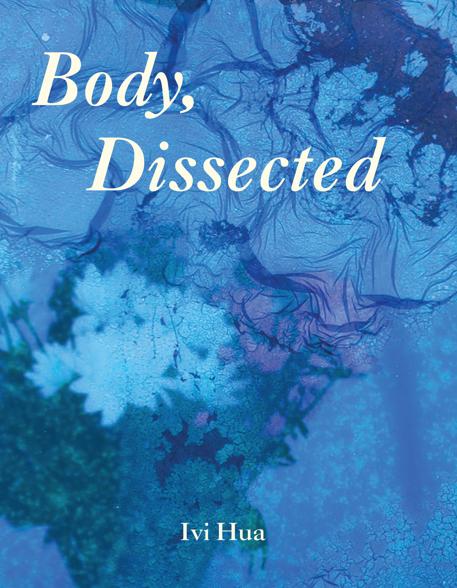 Body, Dissected