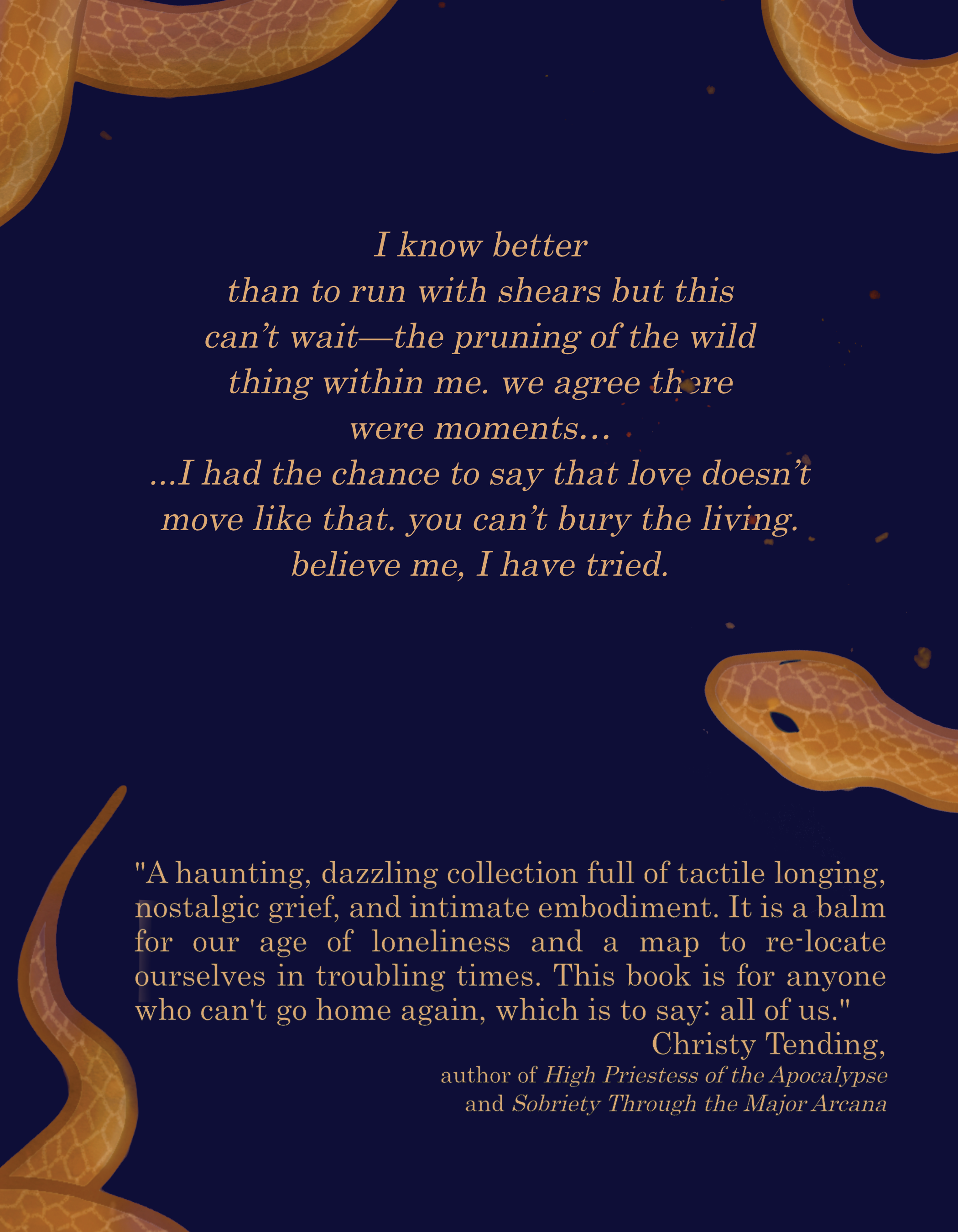 McCaela Prentice - Pulp Prophet - back cover_1.png