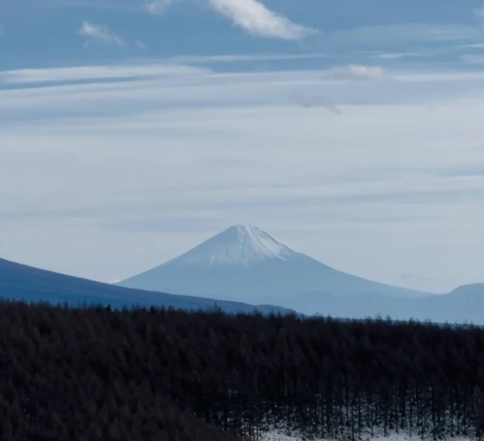 謹んで新春のお慶びを申し上げます…