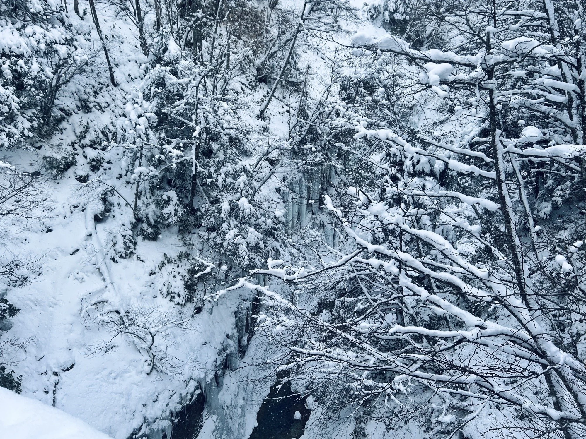 Our ice climbing has begun again this year…