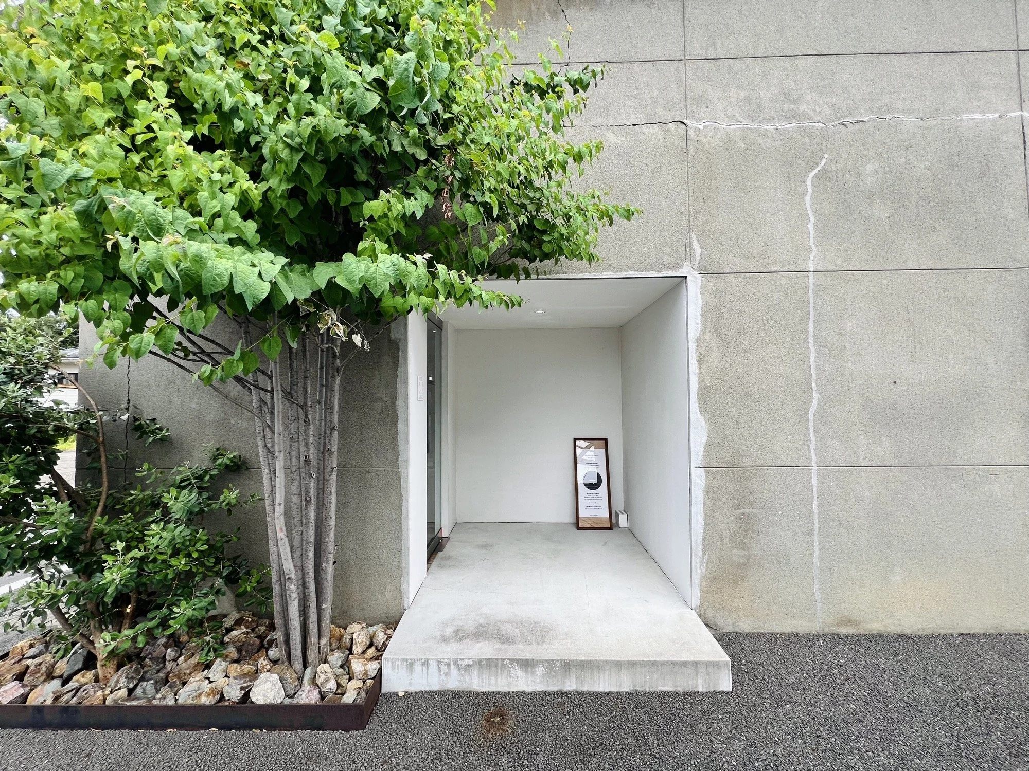 @REFEREE pop up store report…
