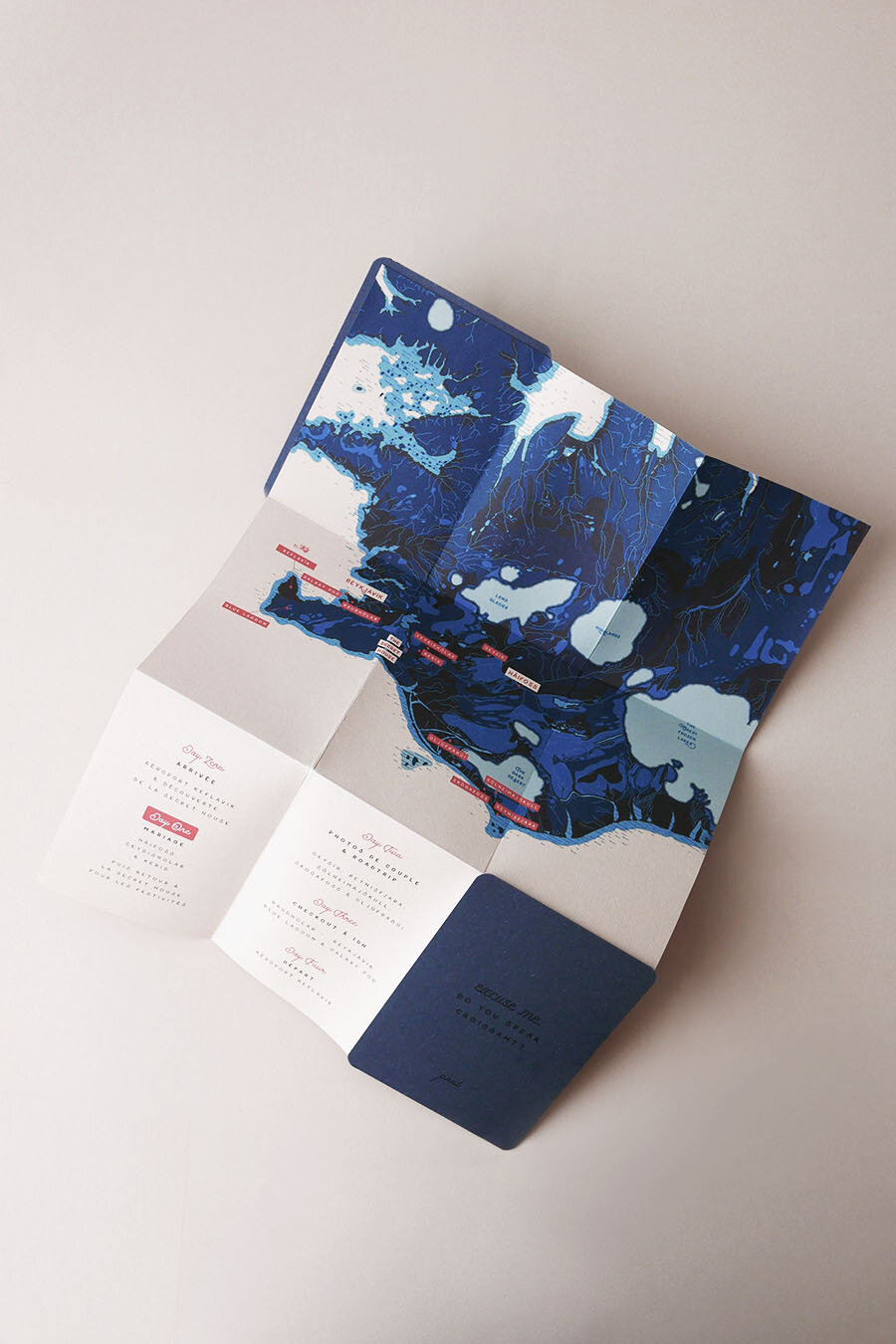Allons-y-Alonso-Design-graphique-invitation-mariage-elopement-Islande-m&g.jpg