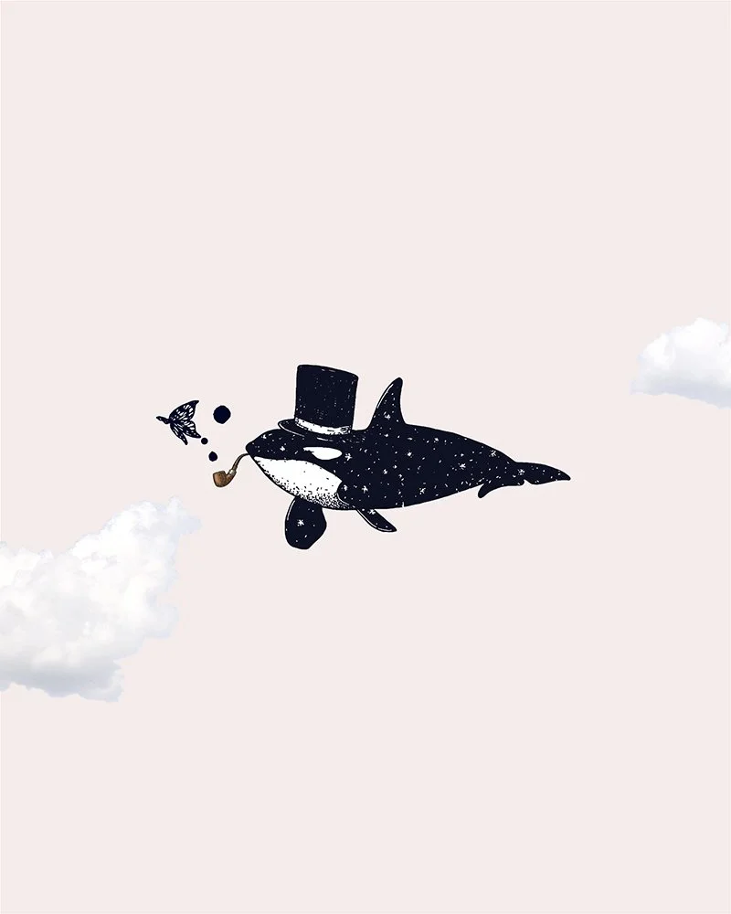 AllonsyAlonso Atelier de design graphique et illustrations