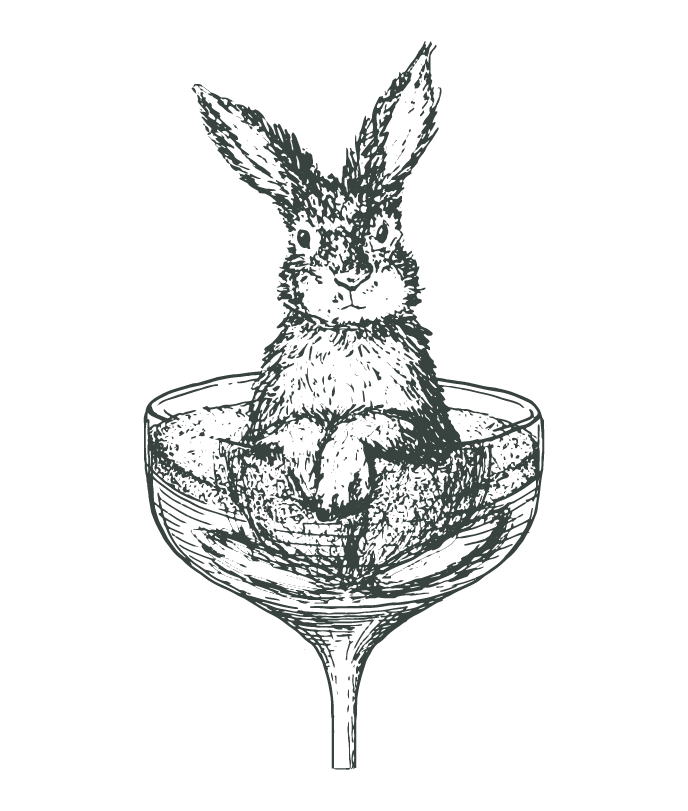 Illustration type gravure — lapin dans une coupe de champagne, création pour cocktail