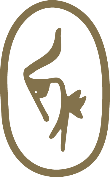 Allons-y-Alonso – Atelier graphique anti-cliché