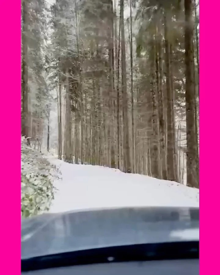 Merry Christmas folks! 👋🏼🤗🎄✨ Sending you a BUN-load of love, happiness and good health 🥐😄 Hope your day is cosy, suuuuper joyful &amp; delicious! Current mood: full, happy and not moving 👍🏼😌🍽️ BIGGG 🥨✨✨