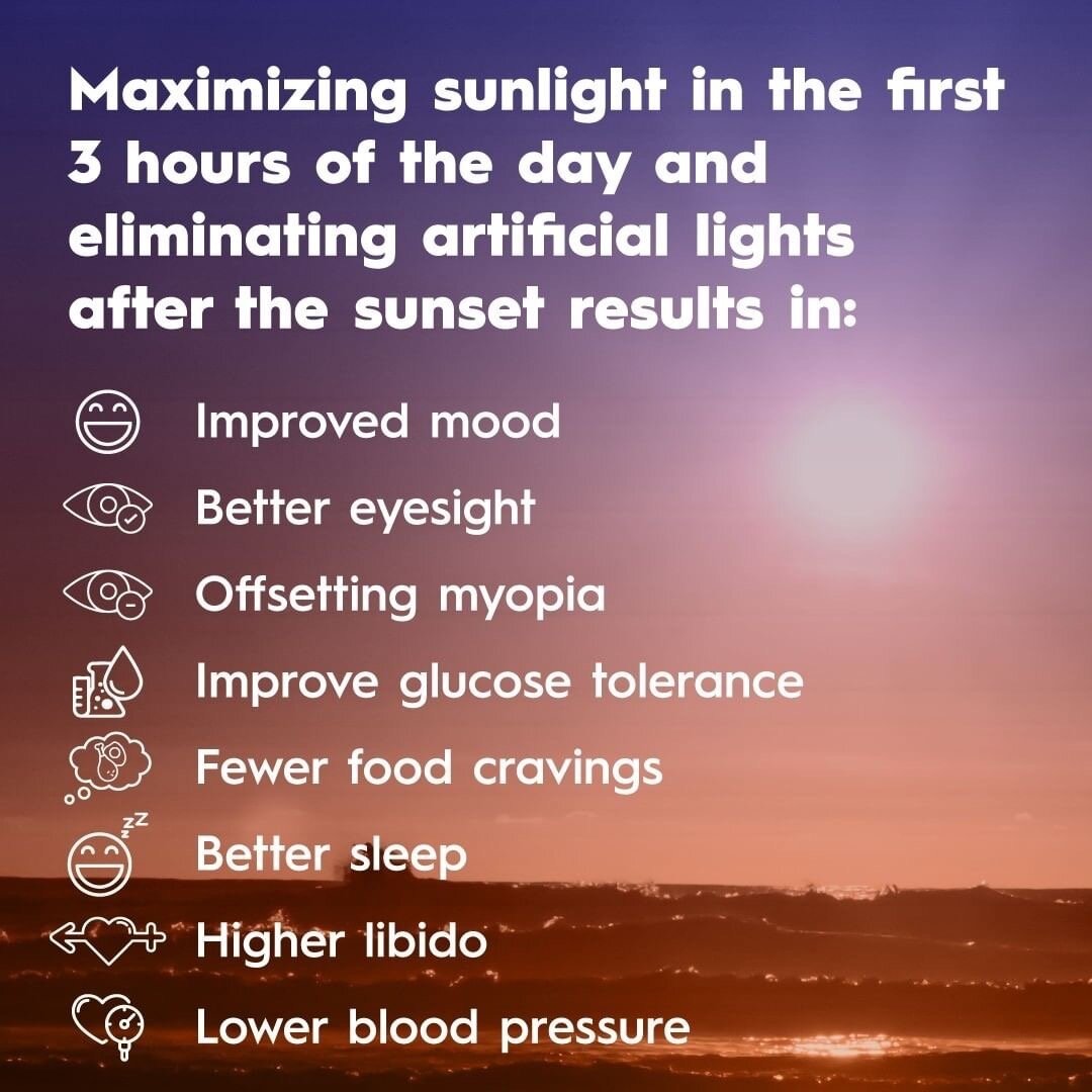 These are two of the most impactful changes I ever made for my health ☀️

There's a reason I preach so much about correcting your light exposure.

You can't be healthy if you don't expose yourself to natural light and you drown yourself in artificial