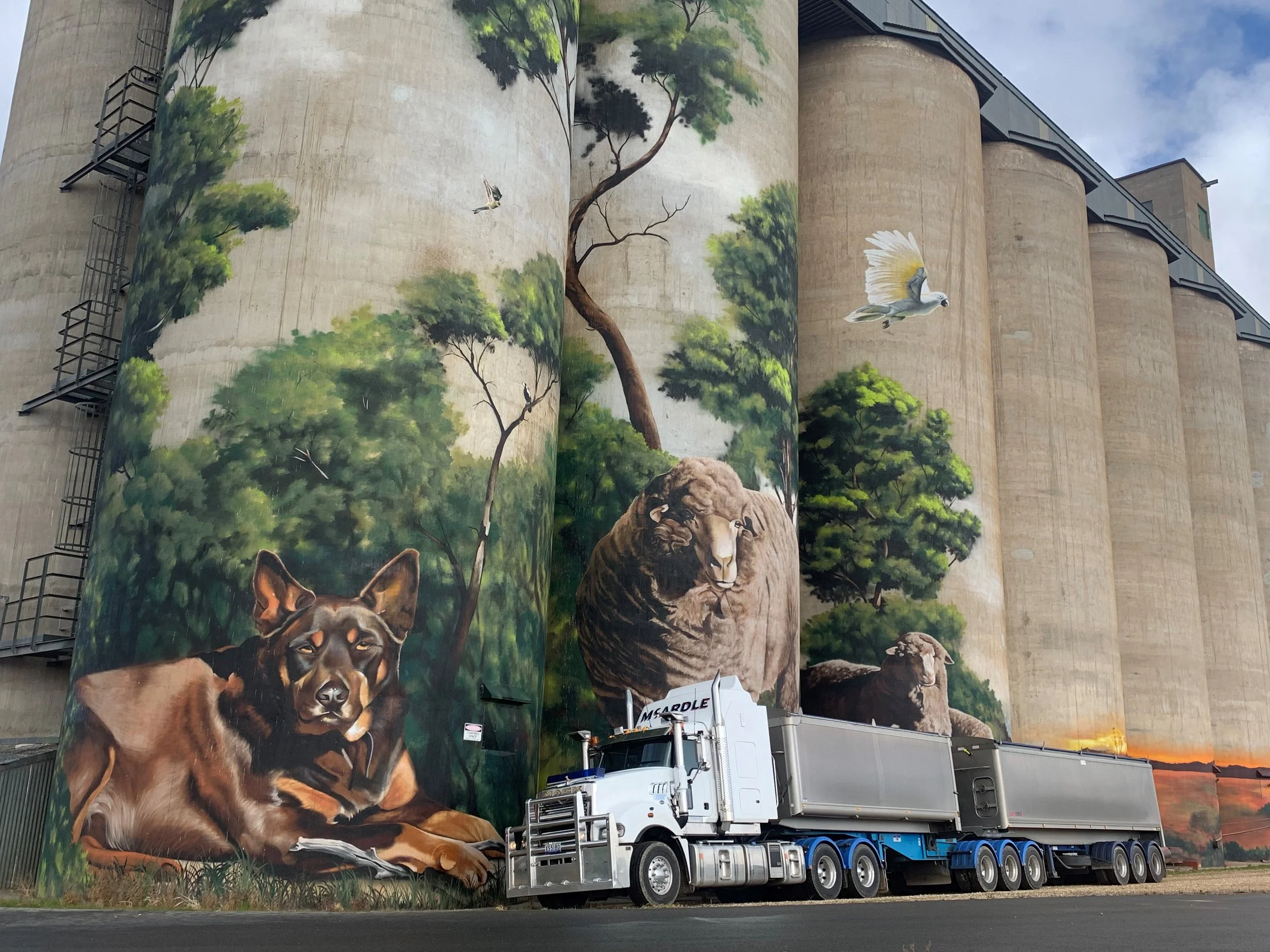 Karoonda silo 2021 5.jpg