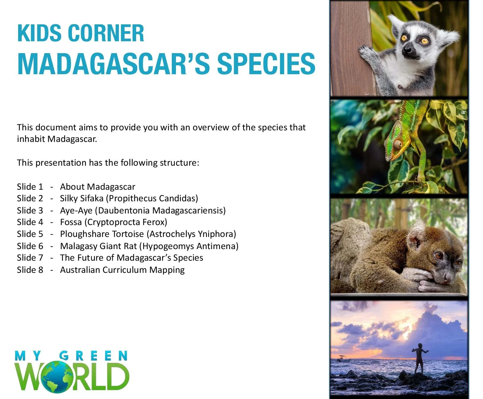 Madagascar_s_Species-page-001.jpg