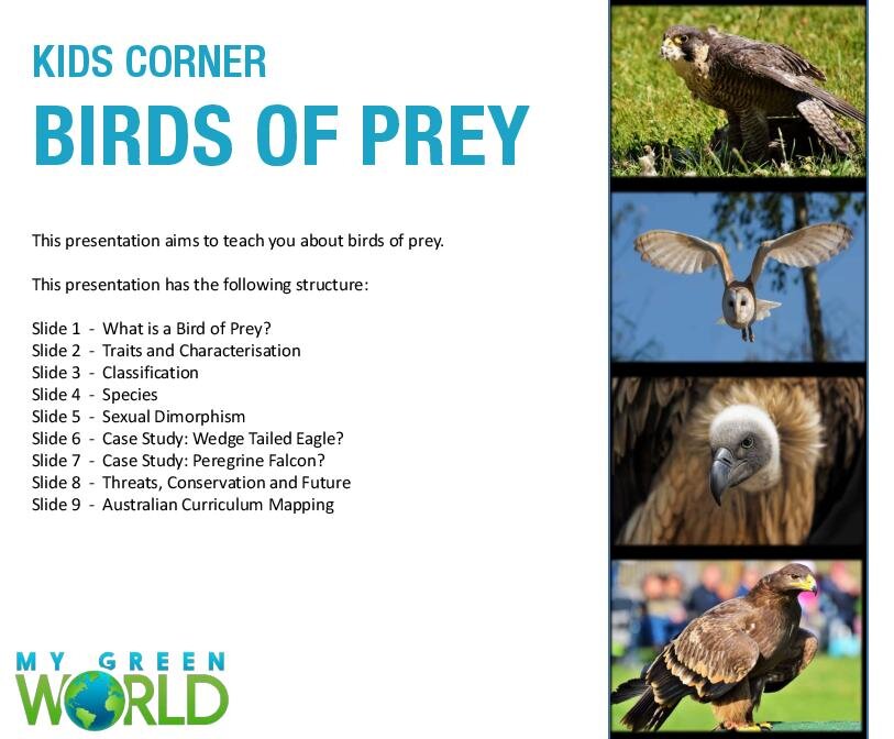 Birds of prey facts and conservation status