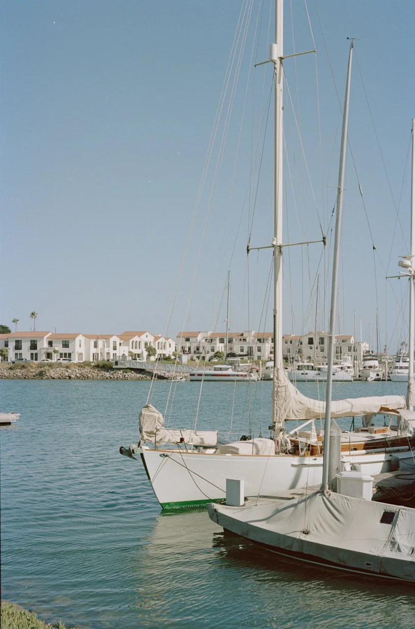 ventura_05.jpg