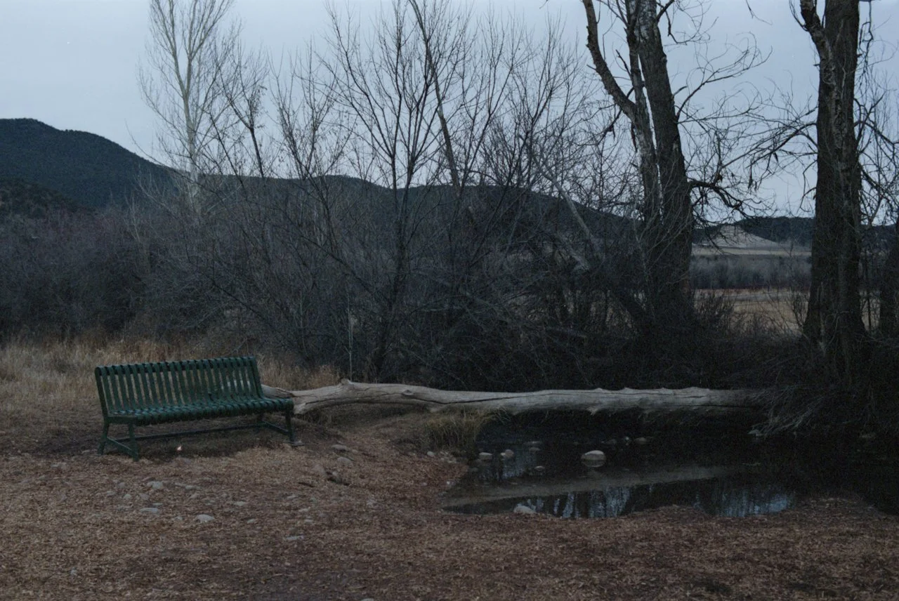 img20260203_14591618.jpg