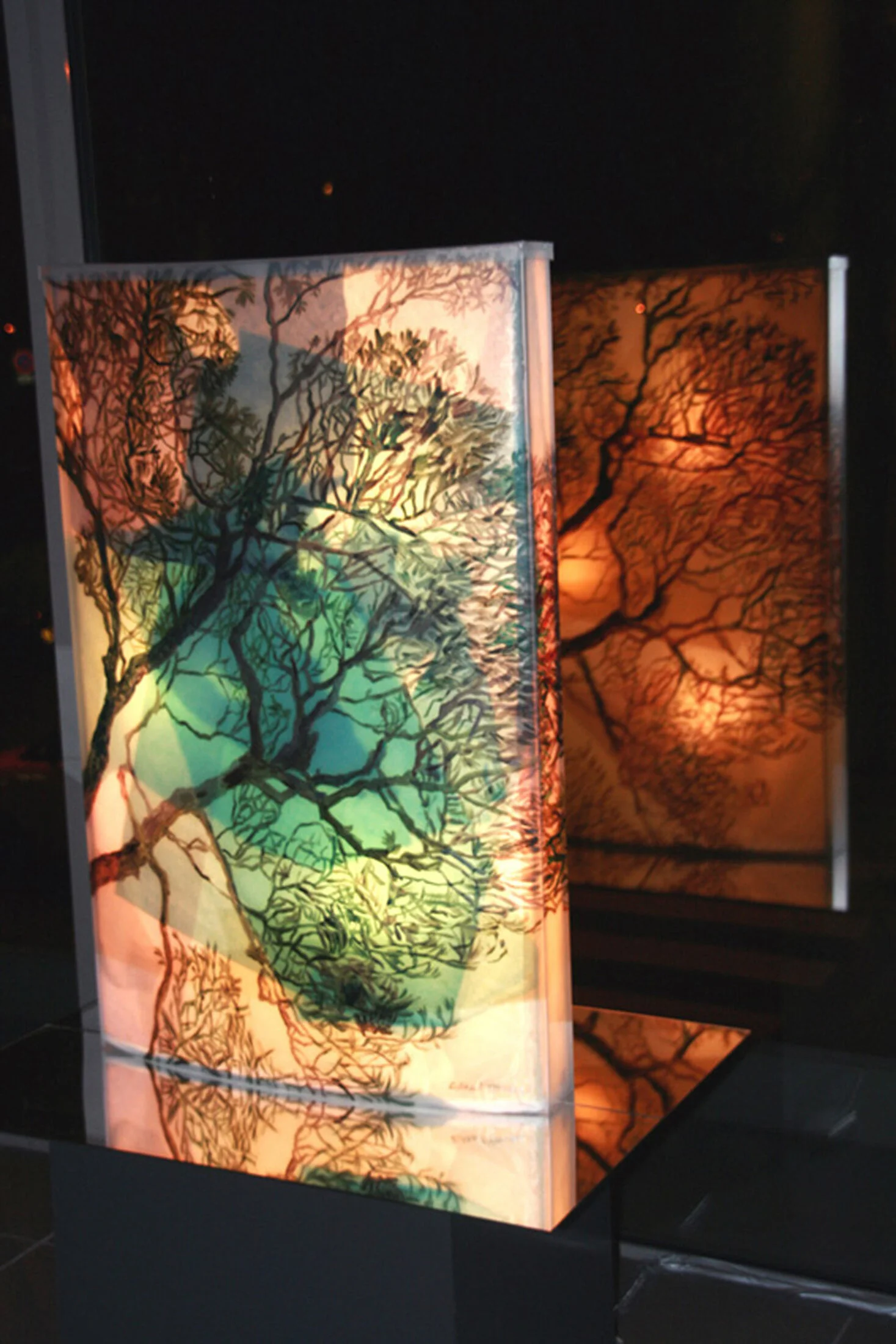 Reflections of an Earthly Tree on Mars, Paris 1