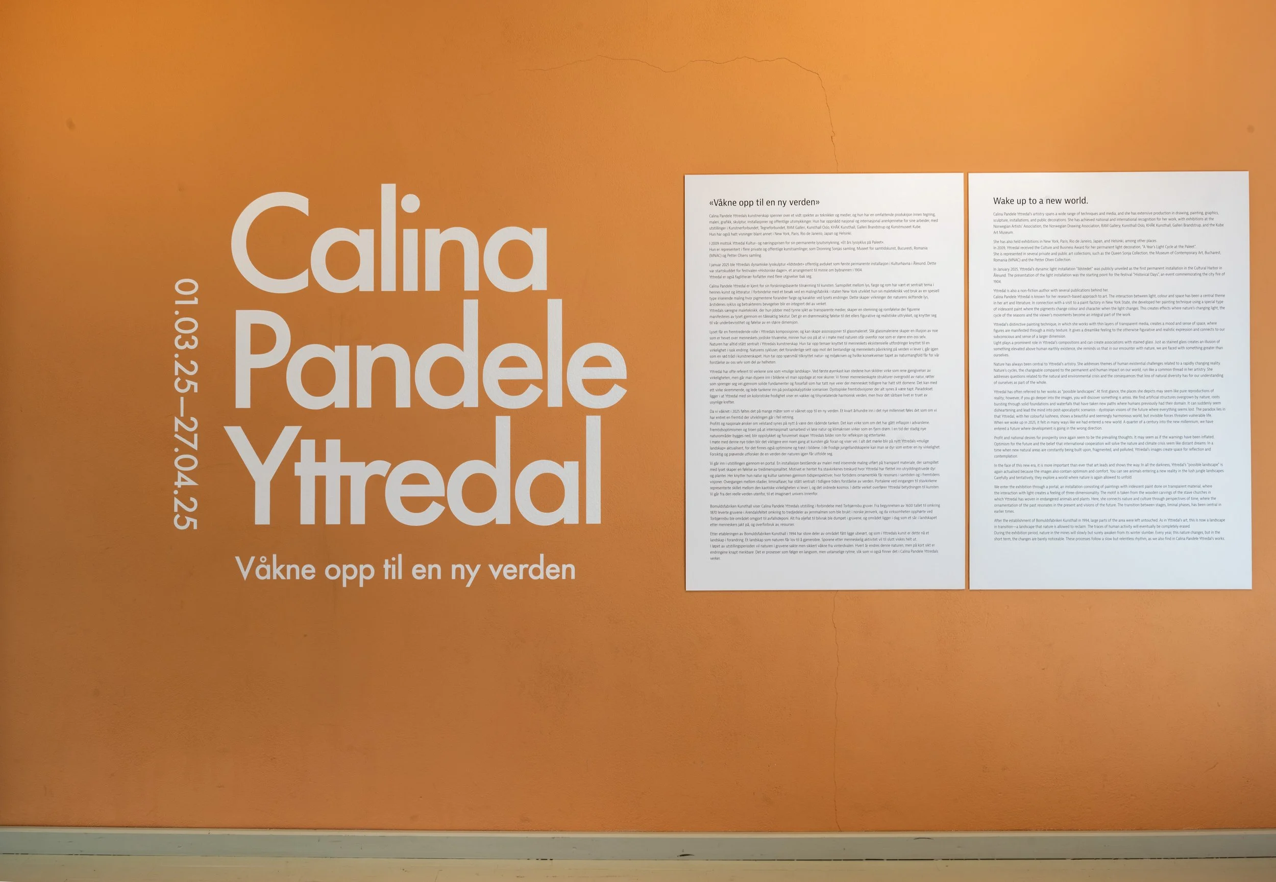 Solo exhibition Wake up to a New World”, informational text about the artist and exhibition