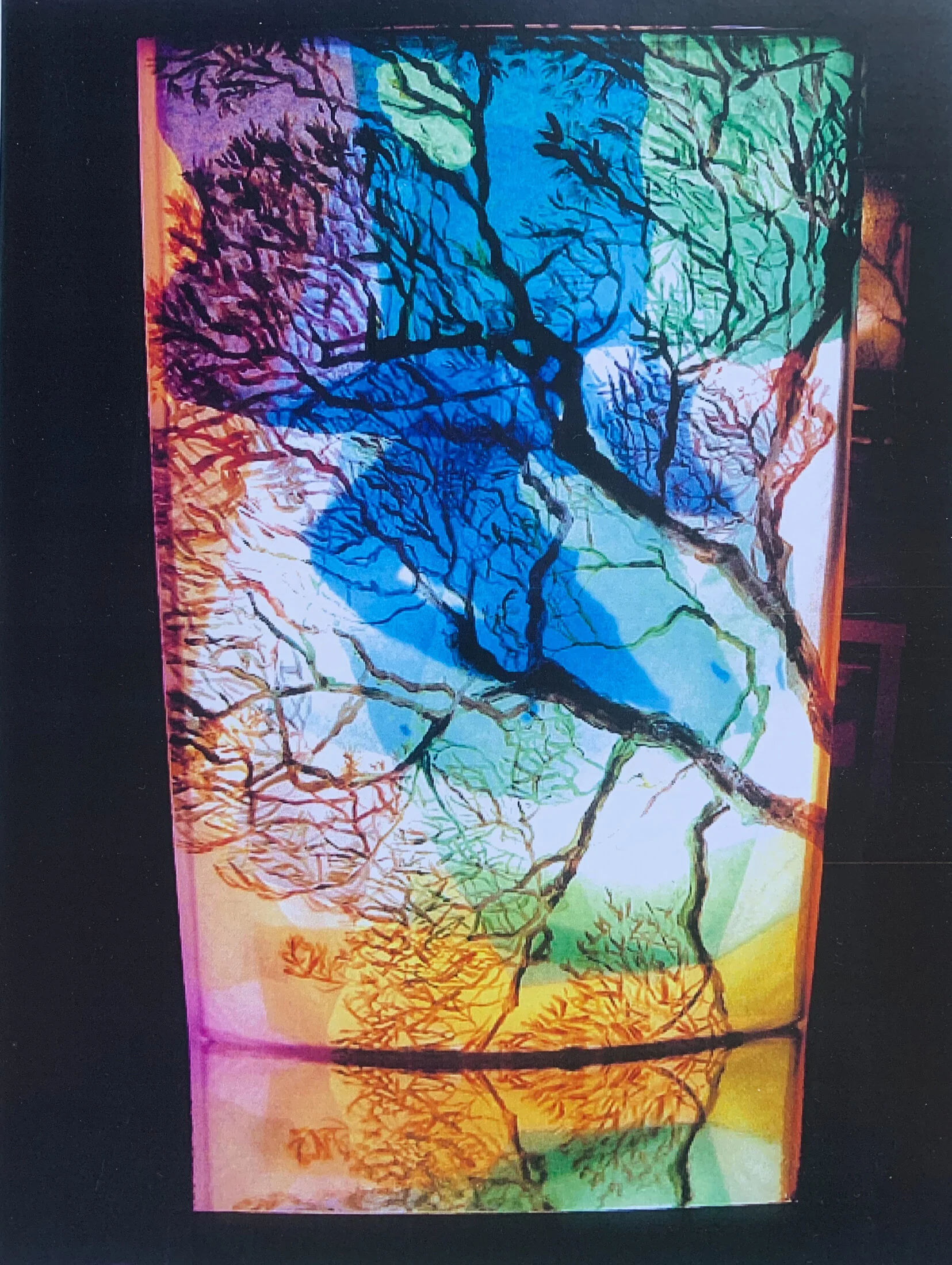 Reflections of an Earthly Tree on Mars, Paris 3