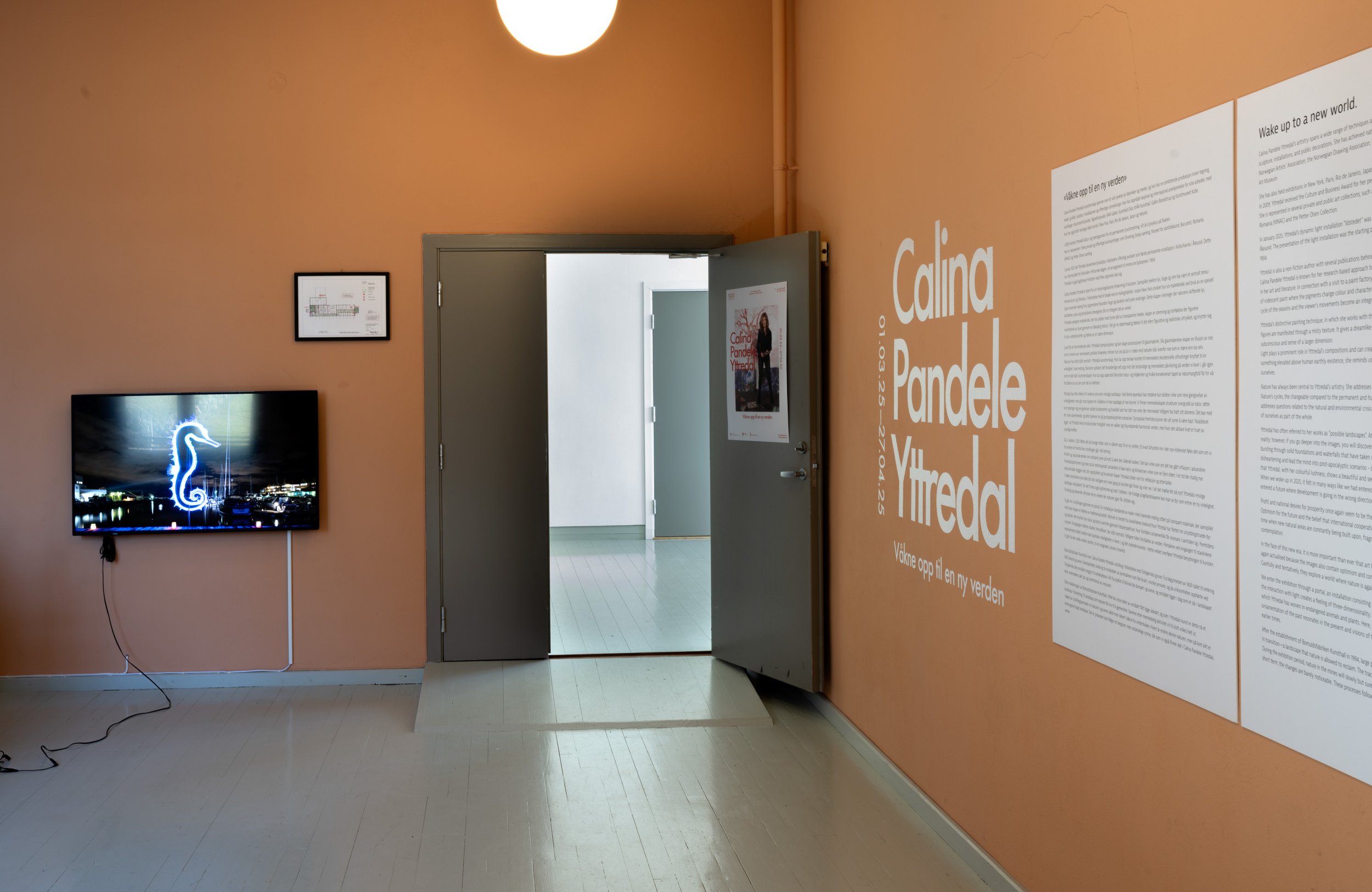 Solo exhibition Wake up to a New World”, informational text and film about the artist`s work