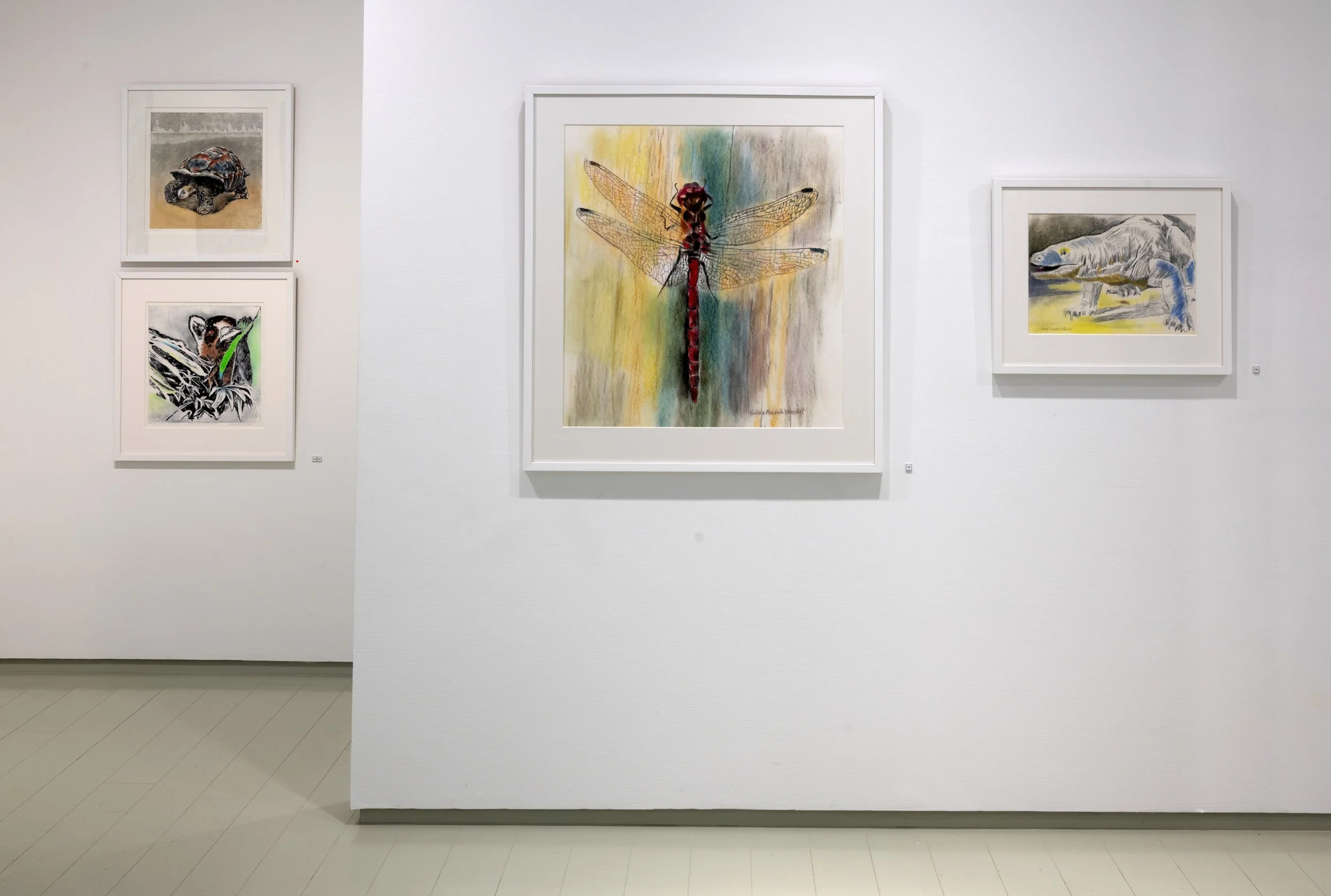 Solo exhibition ”Wake up to a New World” 2025