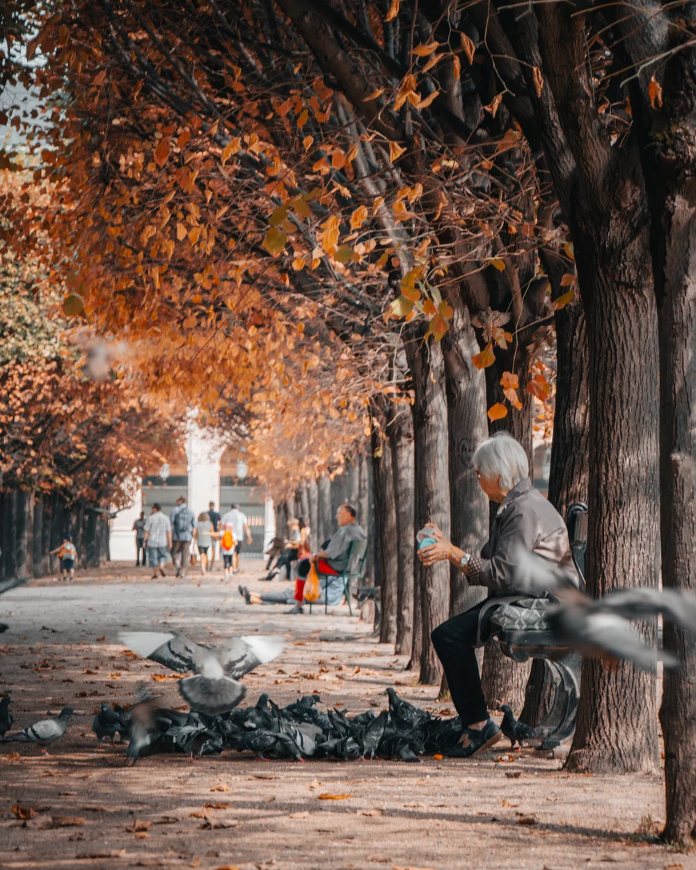 Photograph edited with the AUTUMN MOOD preset