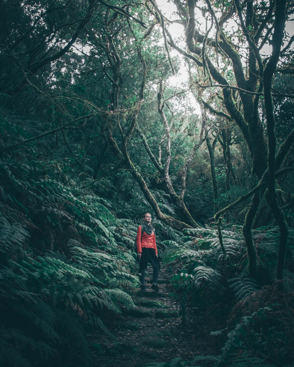 Photograph edited with the TROPICAL preset