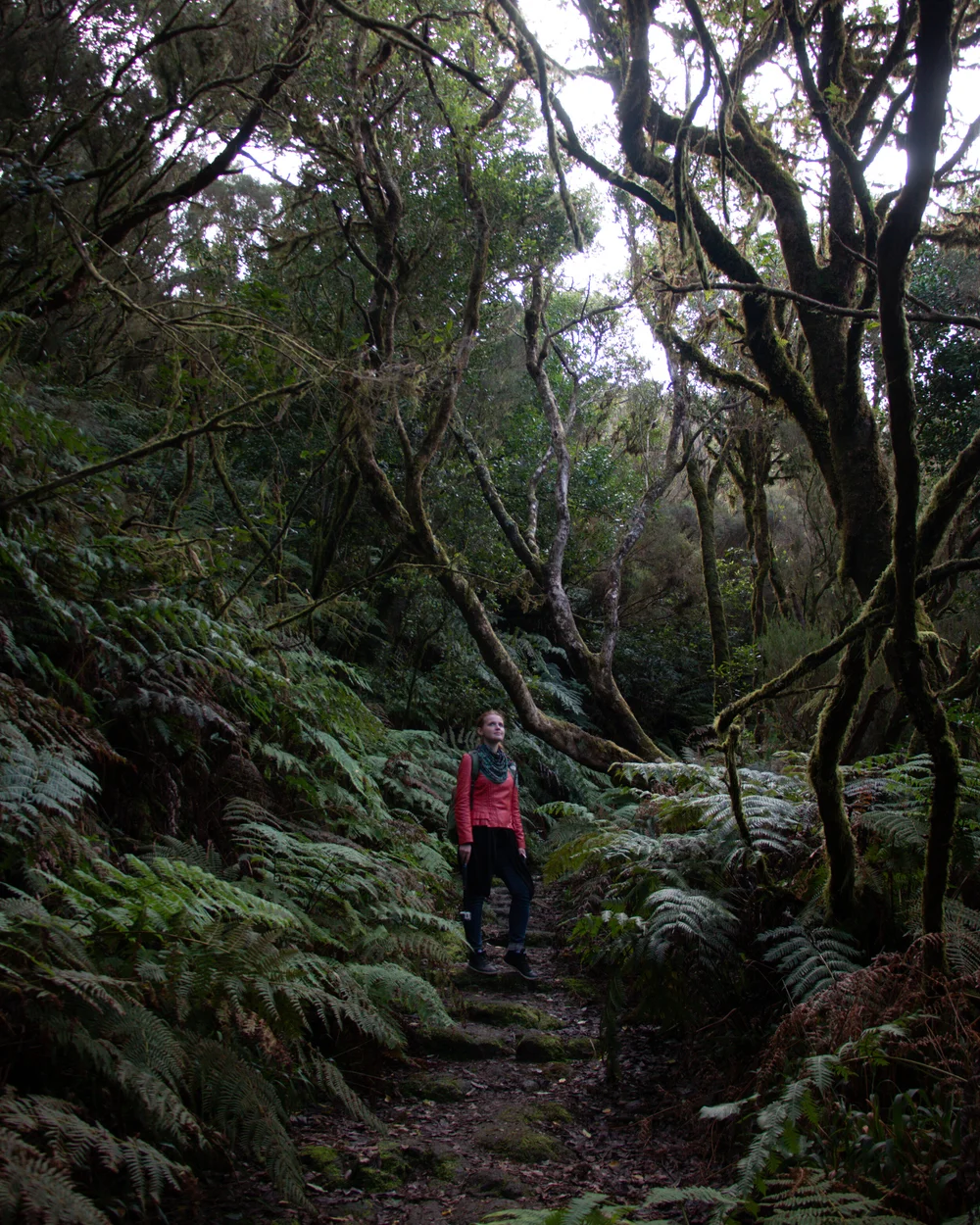 Original photograph before applying the TROPICAL preset