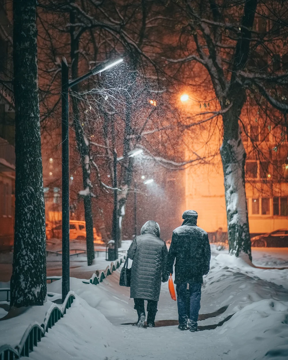 Photograph edited with the FROST preset