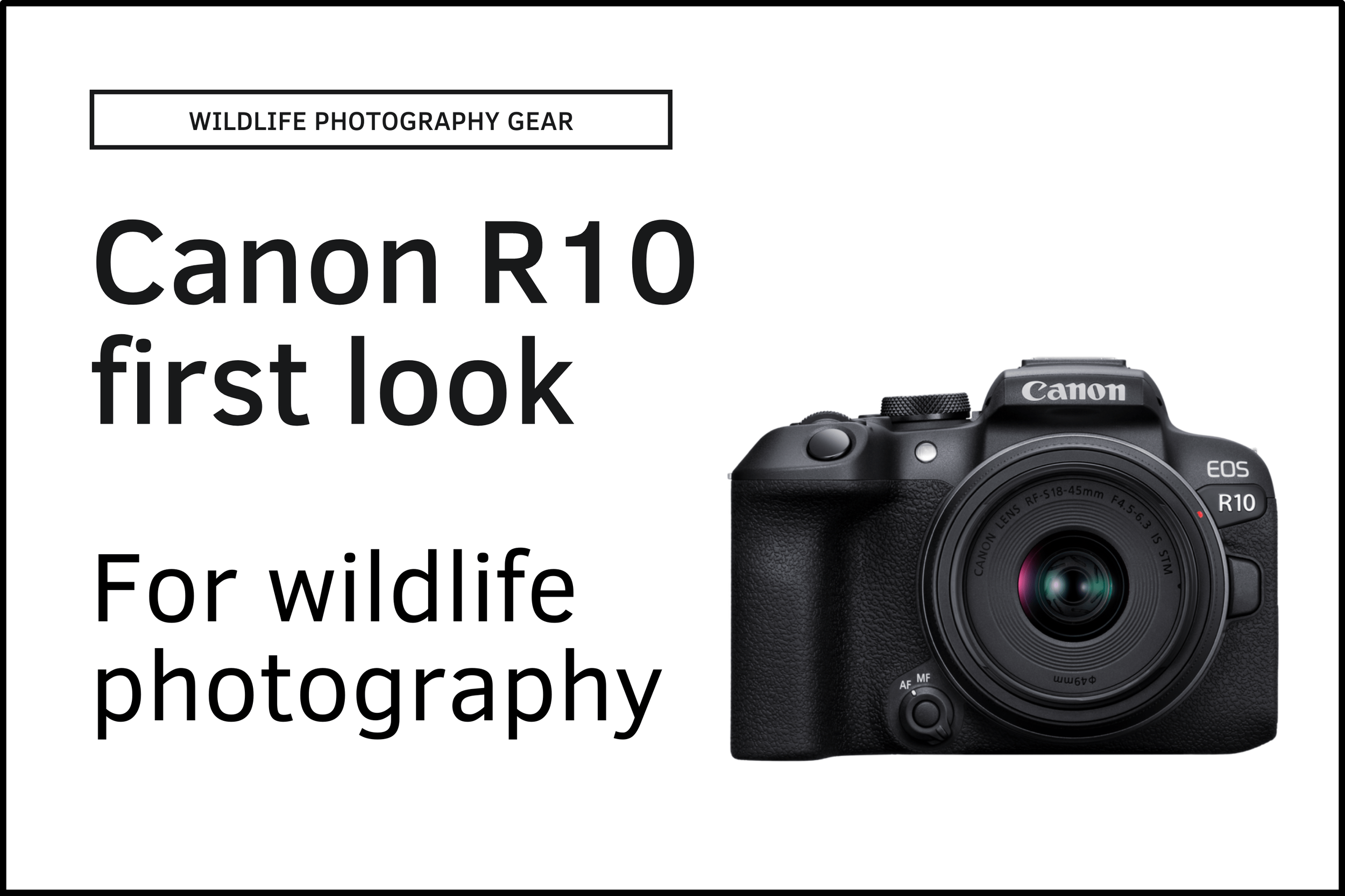 Canon EOS R10 review: the best camera for beginners