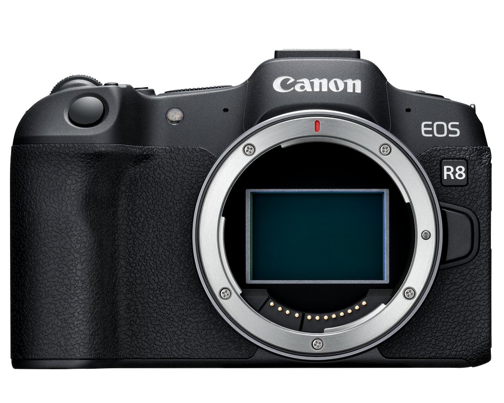 Is the Canon R8 the best budget fullframe camera for wildlife
