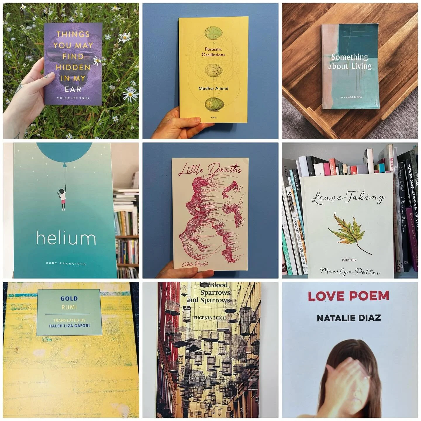 So much to celebrate this #sealeychallenge &mdash; such an abundant summer of reading poetry!