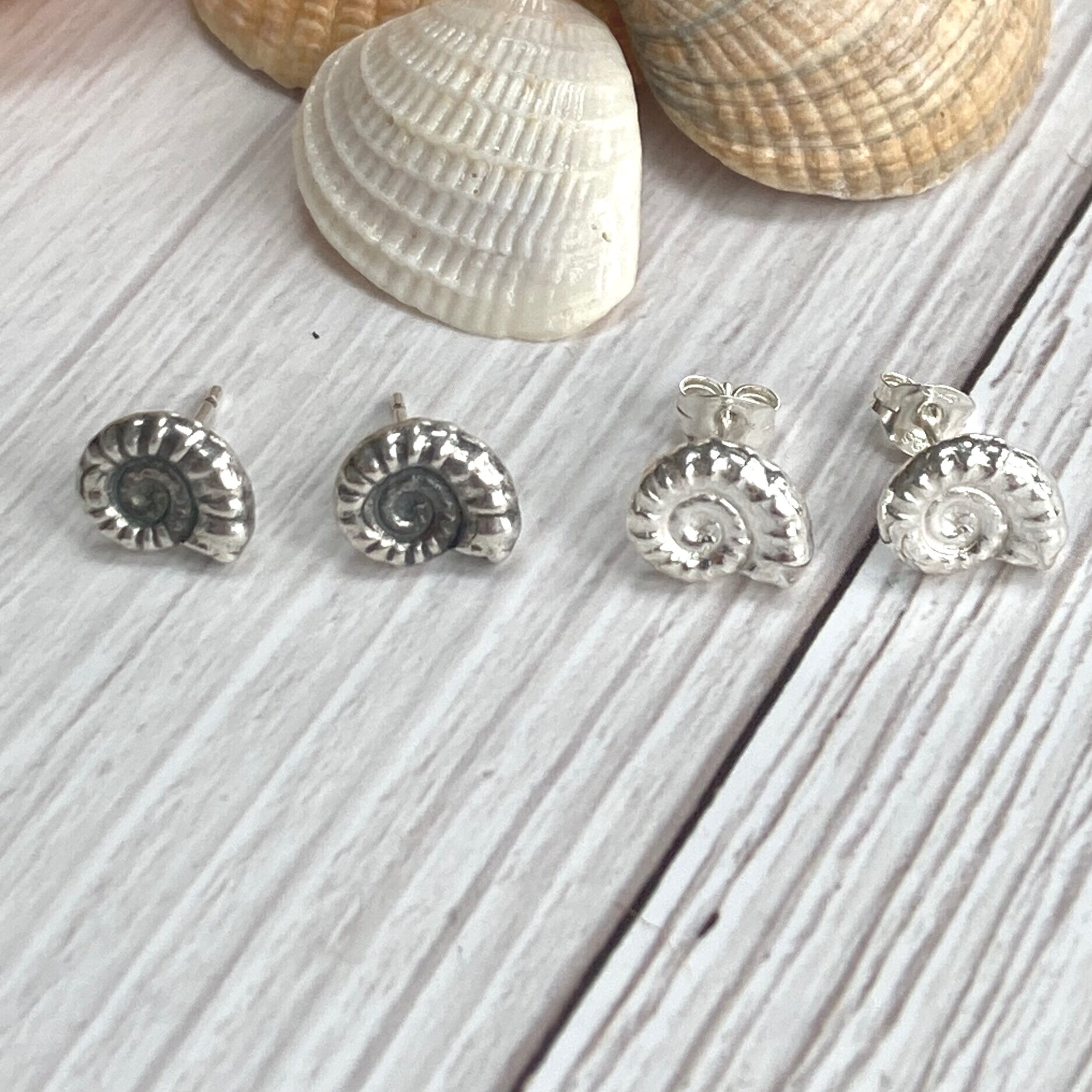 Ammonite Stud earrings