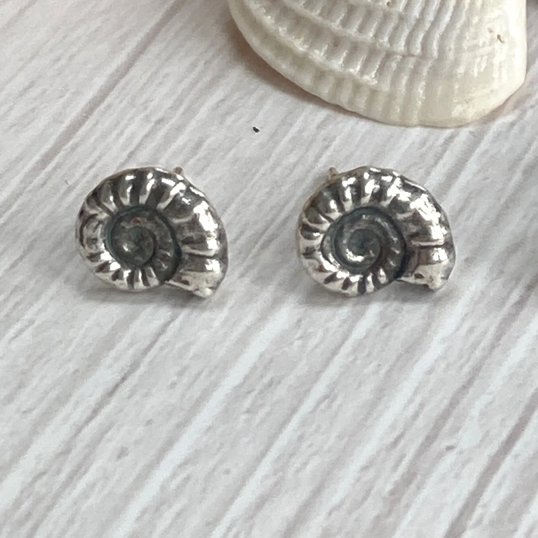 Ammonite stud earrings with a black patina