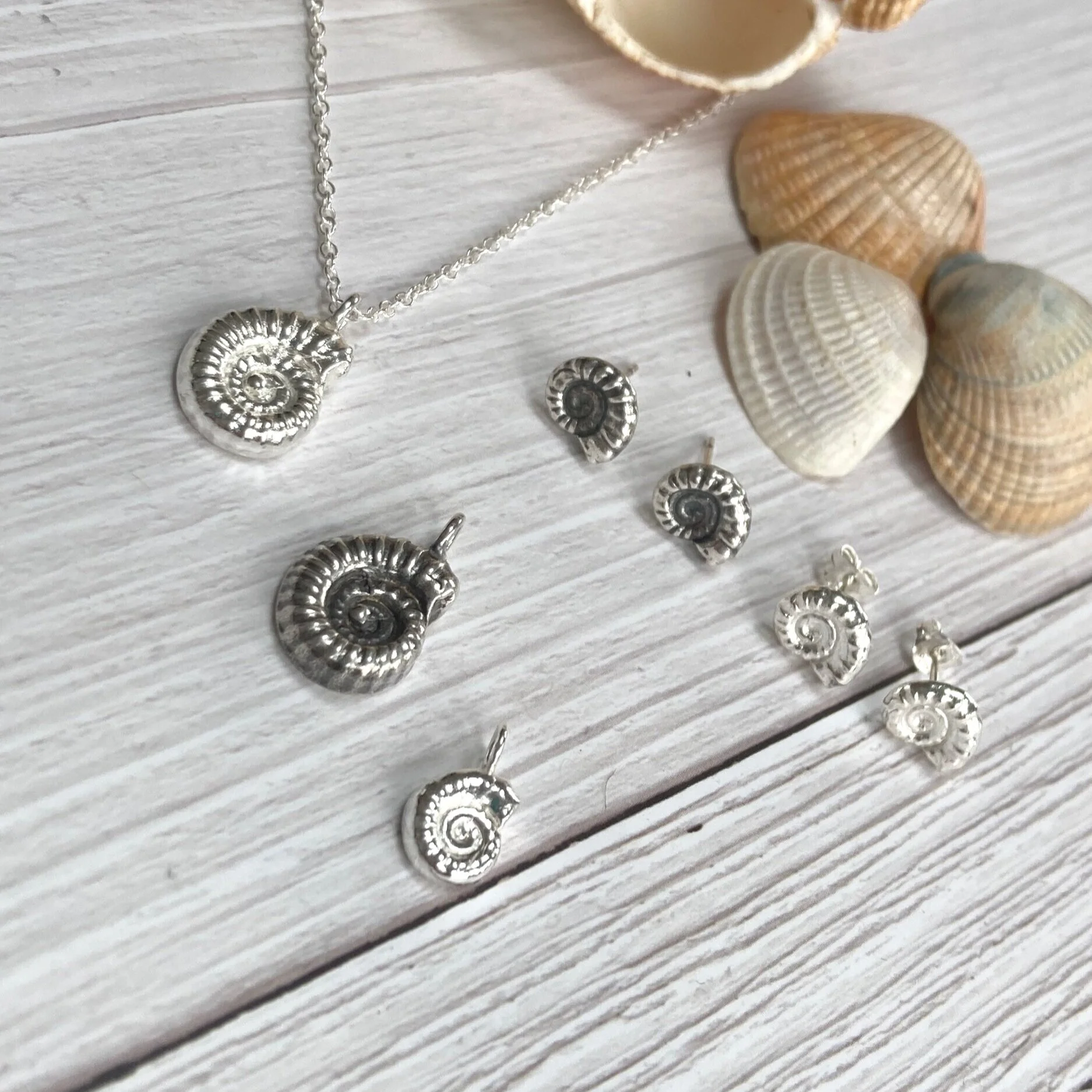 Silver Ammonite necklace and earring set