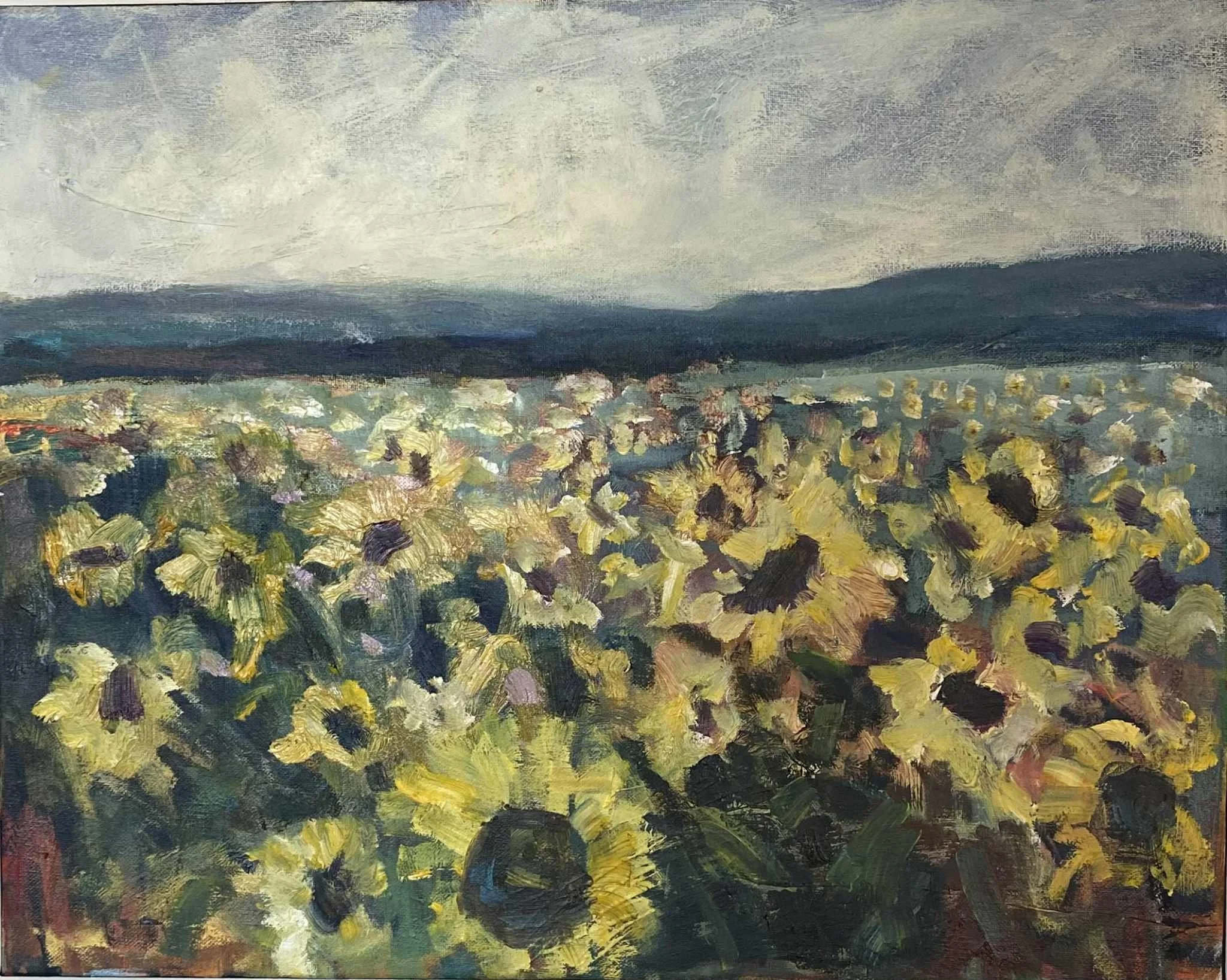 “Field of Gold” 18x20 oil on canvas 320.00
