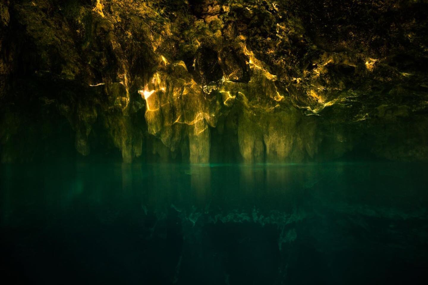 If, like me, you are a subpar swimmer and have an irrational fear of water, Gran Cenote is a must-see for your next visit to Tulum. ⁣
⁣
&ldquo;𝘎𝘳𝘢𝘯 𝘊𝘦𝘯𝘰𝘵𝘦 - 𝘦𝘭 𝘭𝘶𝘨𝘢𝘳 𝘮&aacute;𝘴 𝘩𝘦𝘳𝘮𝘰𝘴𝘰 𝘱𝘢𝘳𝘢 𝘢𝘩𝘰𝘨𝘢𝘳𝘴𝘦&rdquo;⁣ #eart