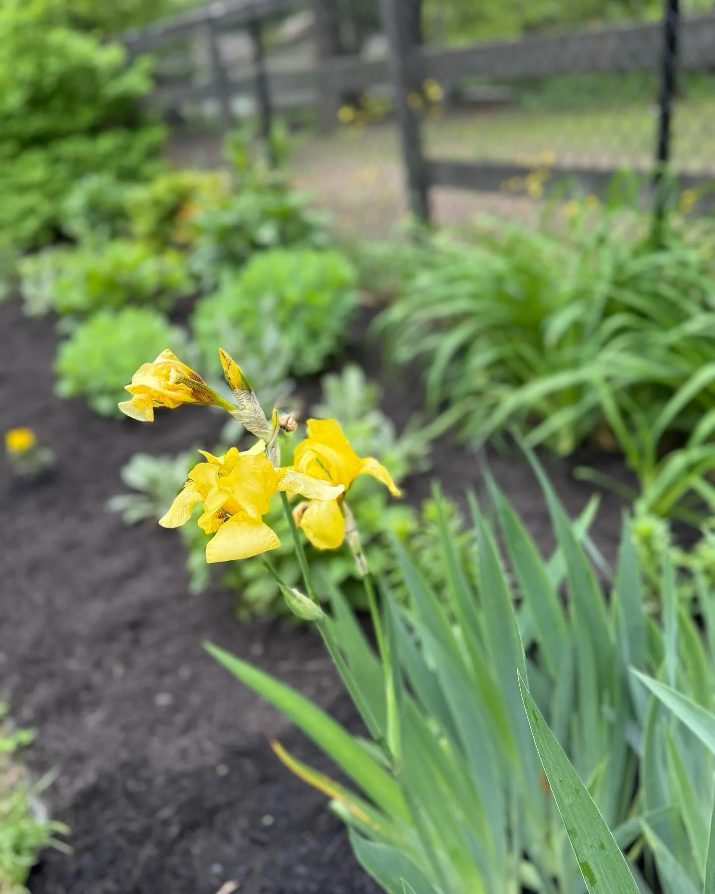 May in bloom 🌸🌷🌱🌞

7th 📸: Lisa Tamburini for Southampton Playhouse