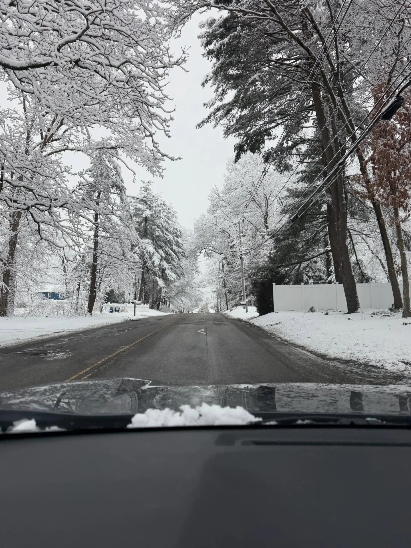 &ldquo;Warm winter wishes&rdquo; ~thanks~ Trader Joe&rsquo;s 
January was snow, skiing, friends, more snow, big stress, big paintings, and little wins