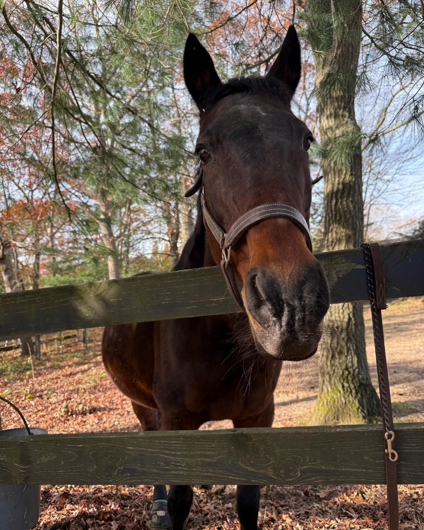 A quick trip home
Filled up my cup 🫶🏻