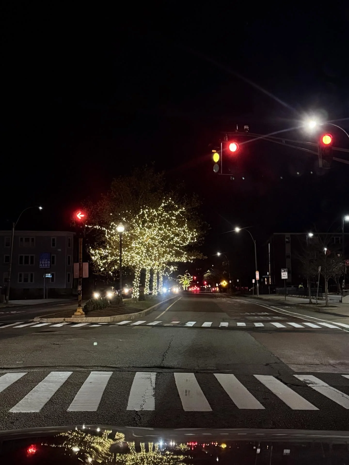 &bull; Closing out November &bull;