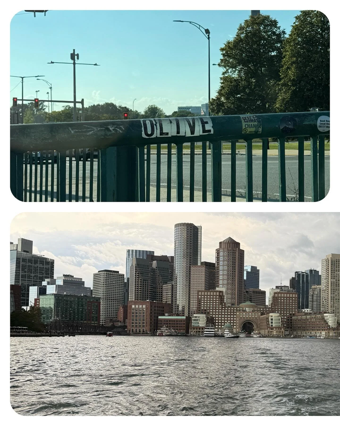 September 🍁
If I ever needed a sign, it was seeing Olive on my commute home from work ✨