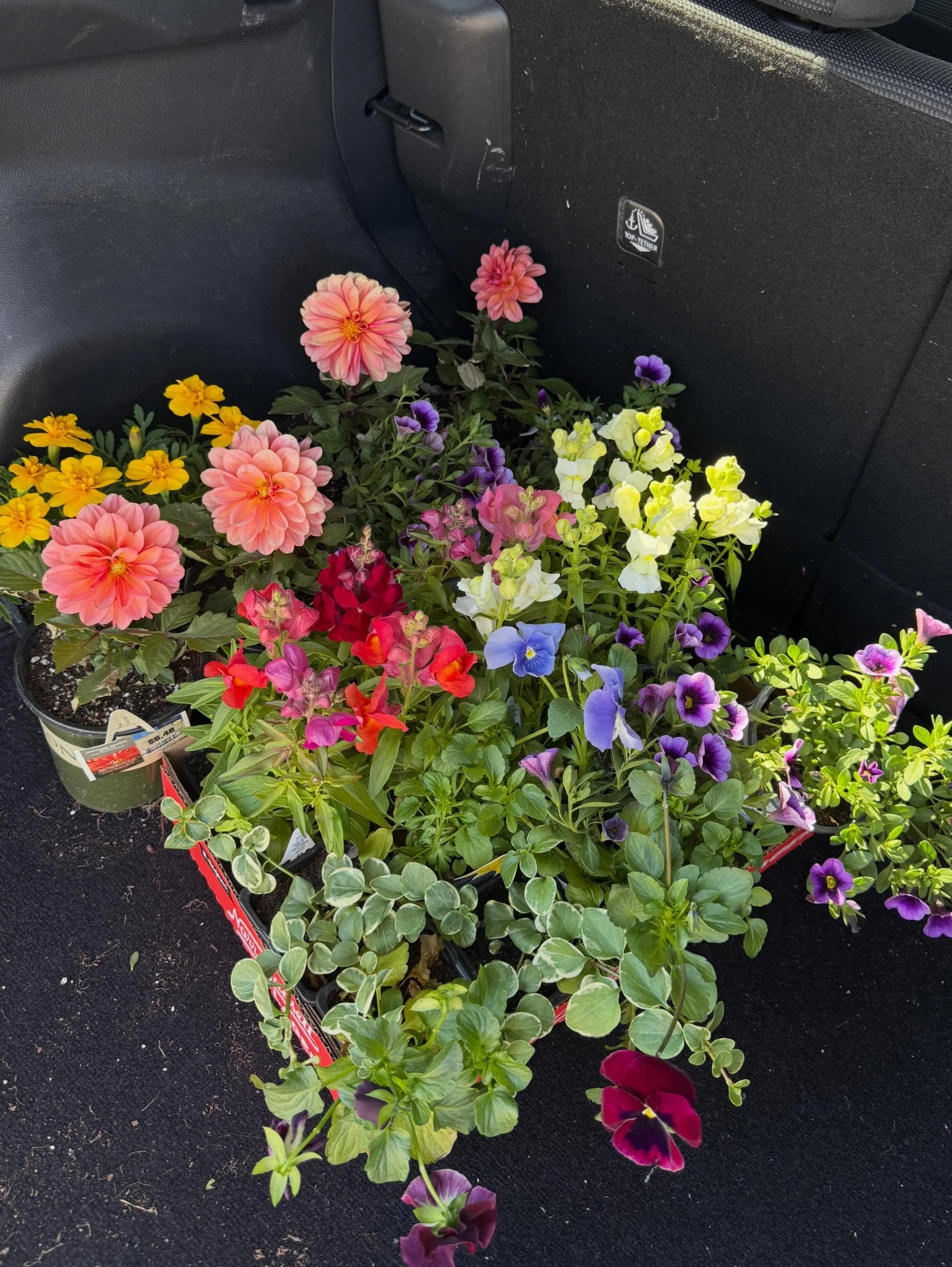 A garden center hates to see me coming