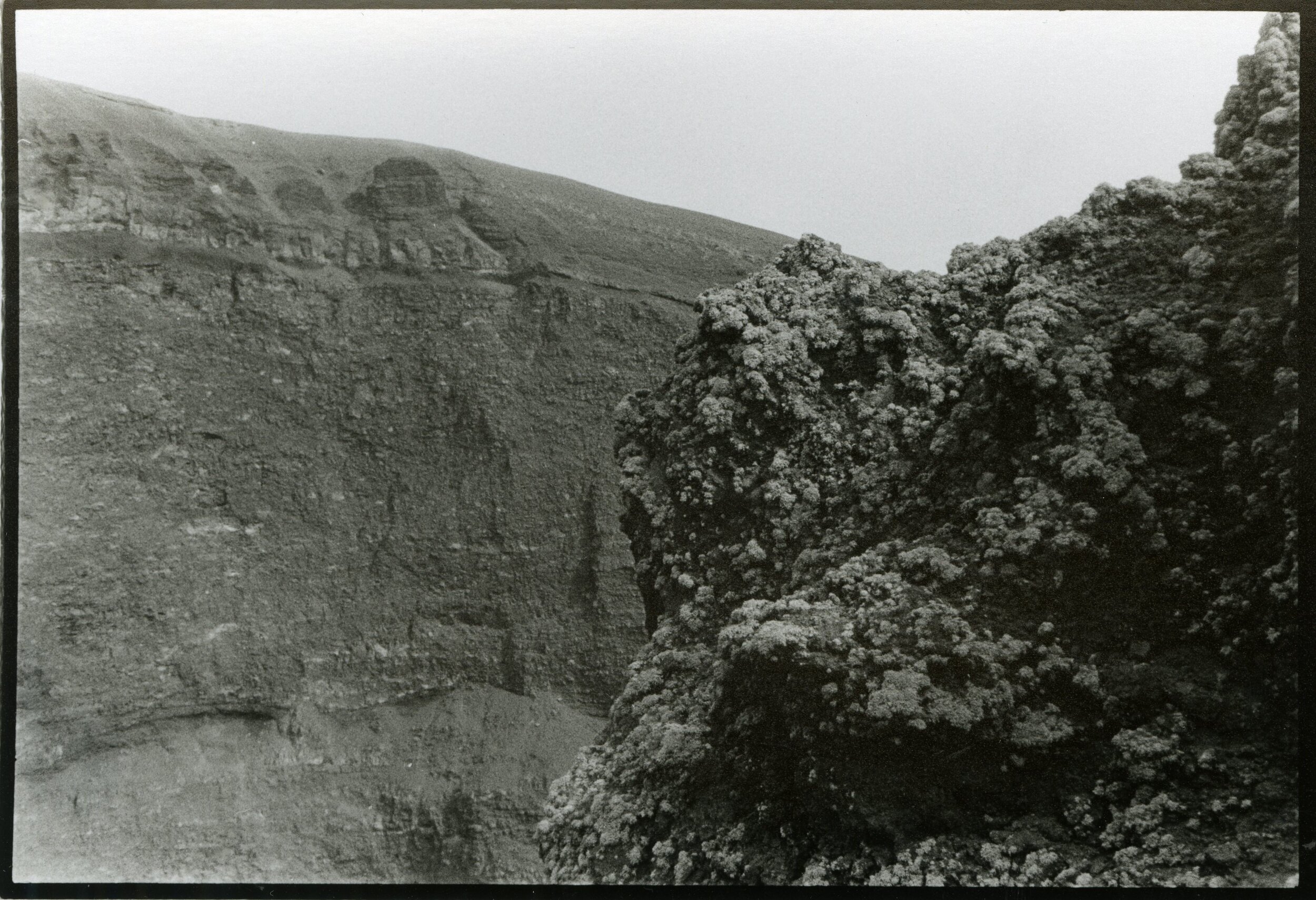 35mm film photograph, 2016.