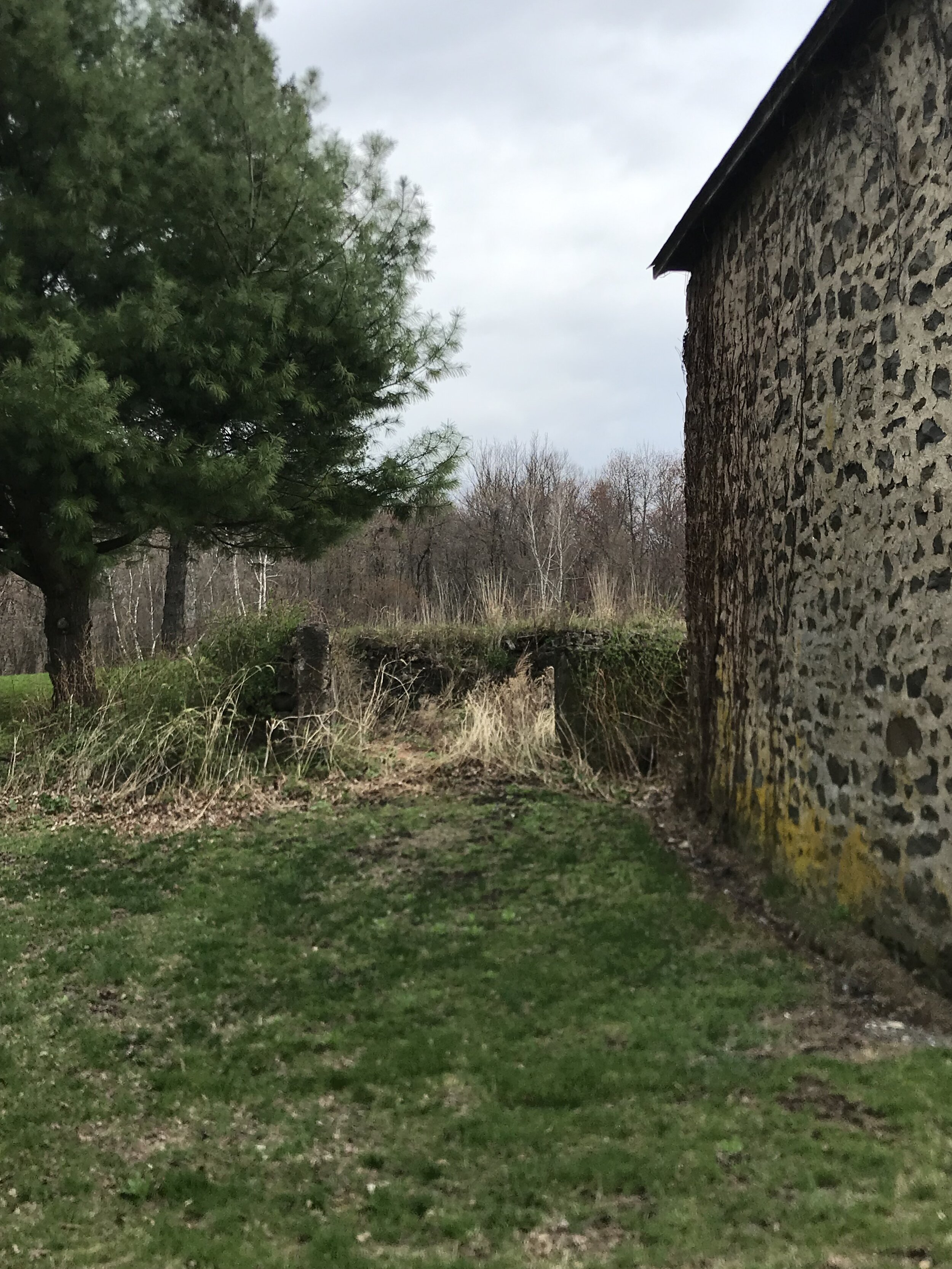 IMG_1907.jpeg