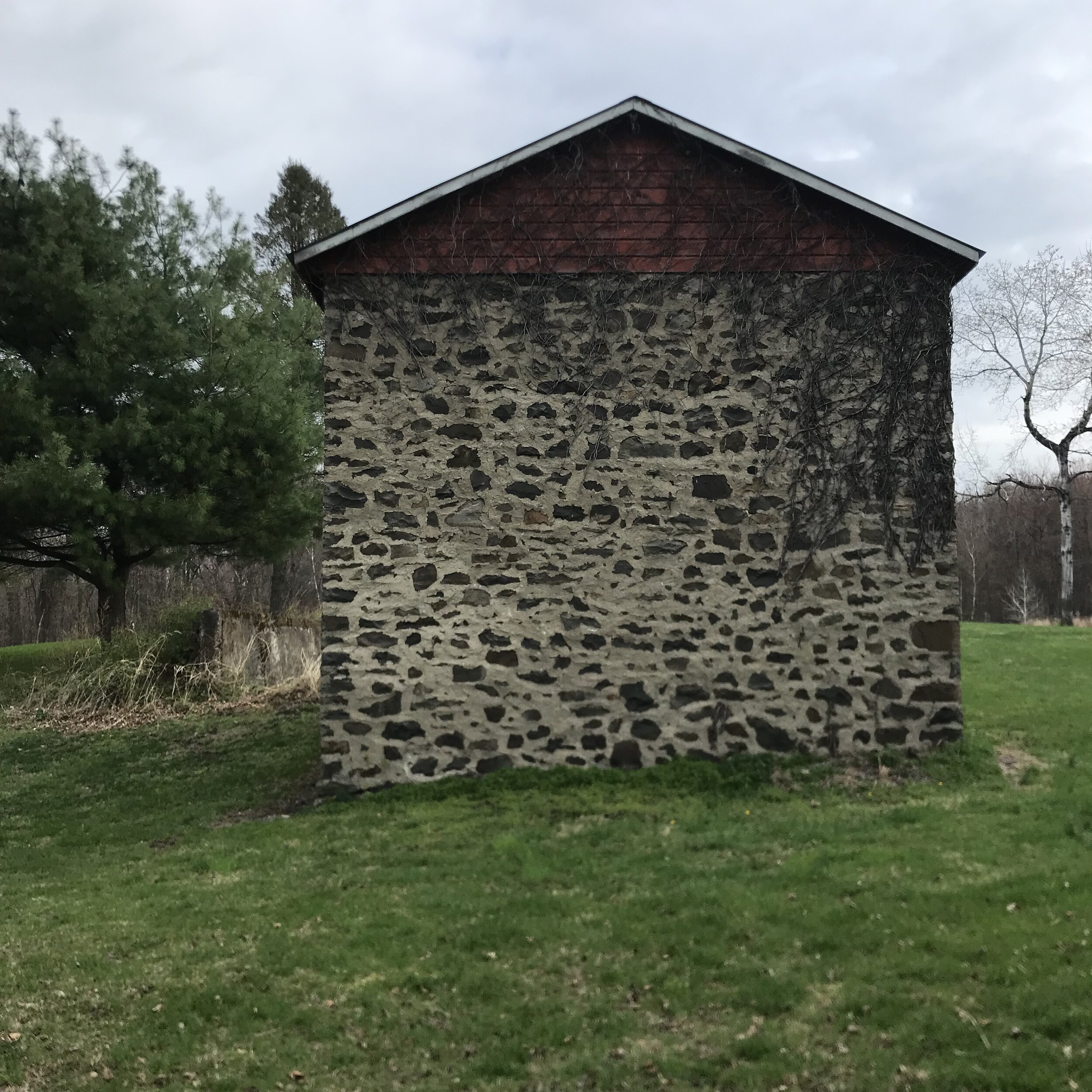 IMG_1900.jpeg