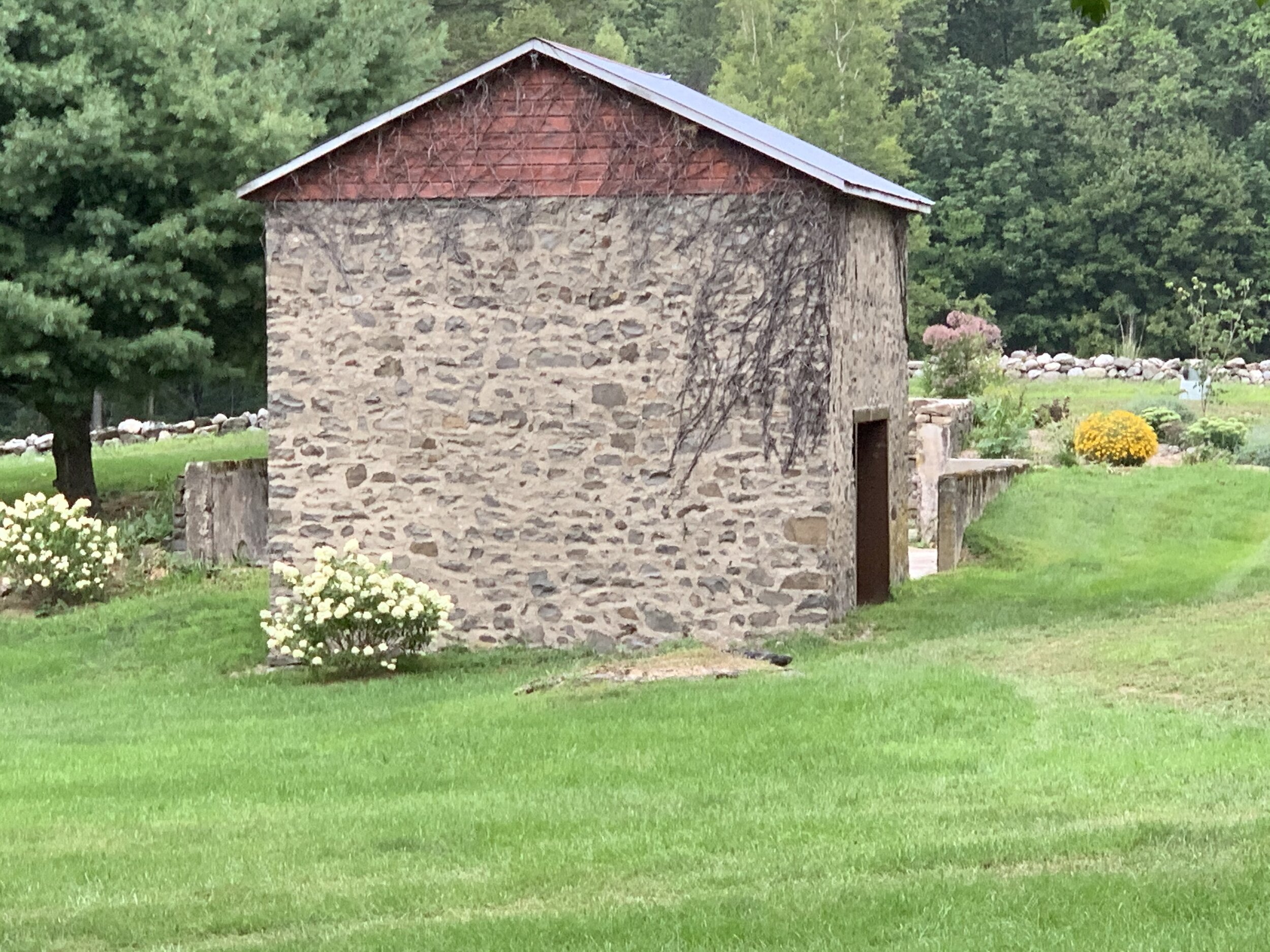 IMG_6499.jpeg