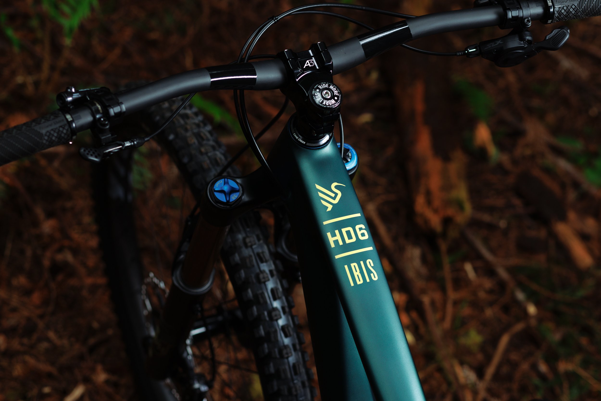 Ibis Cycles HD6 Enchanted Forest Green_2500x (8).jpg