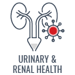 Urinary & Renal Health Icon
