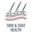 Skin & Coat Health Icon